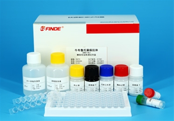Bovine Brucella (BRU) Antibody ELISA Kit